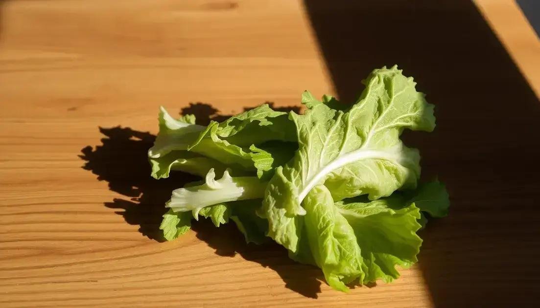 FAQs About Food Poisoning Duration